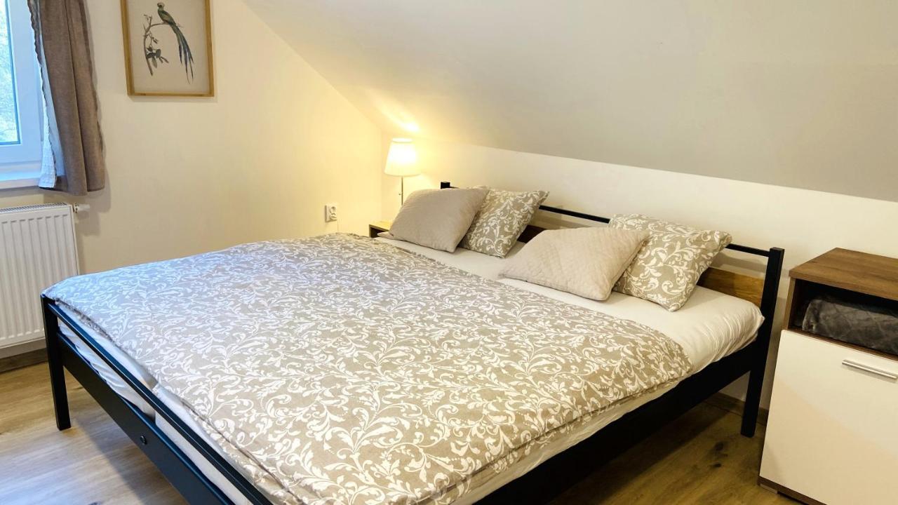 Apartmány u Bohumila Rybna nad Zdobnici Exterior foto