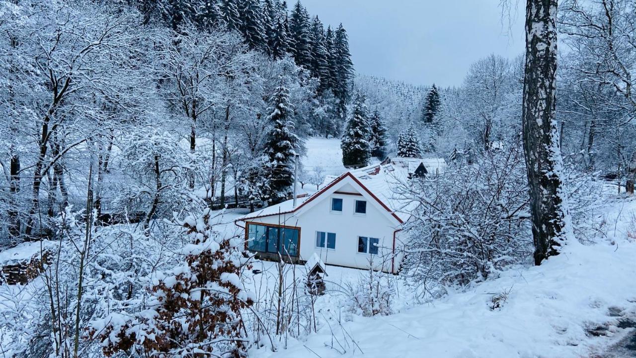 Apartmány u Bohumila Rybna nad Zdobnici Exterior foto